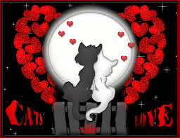 Cats in Love